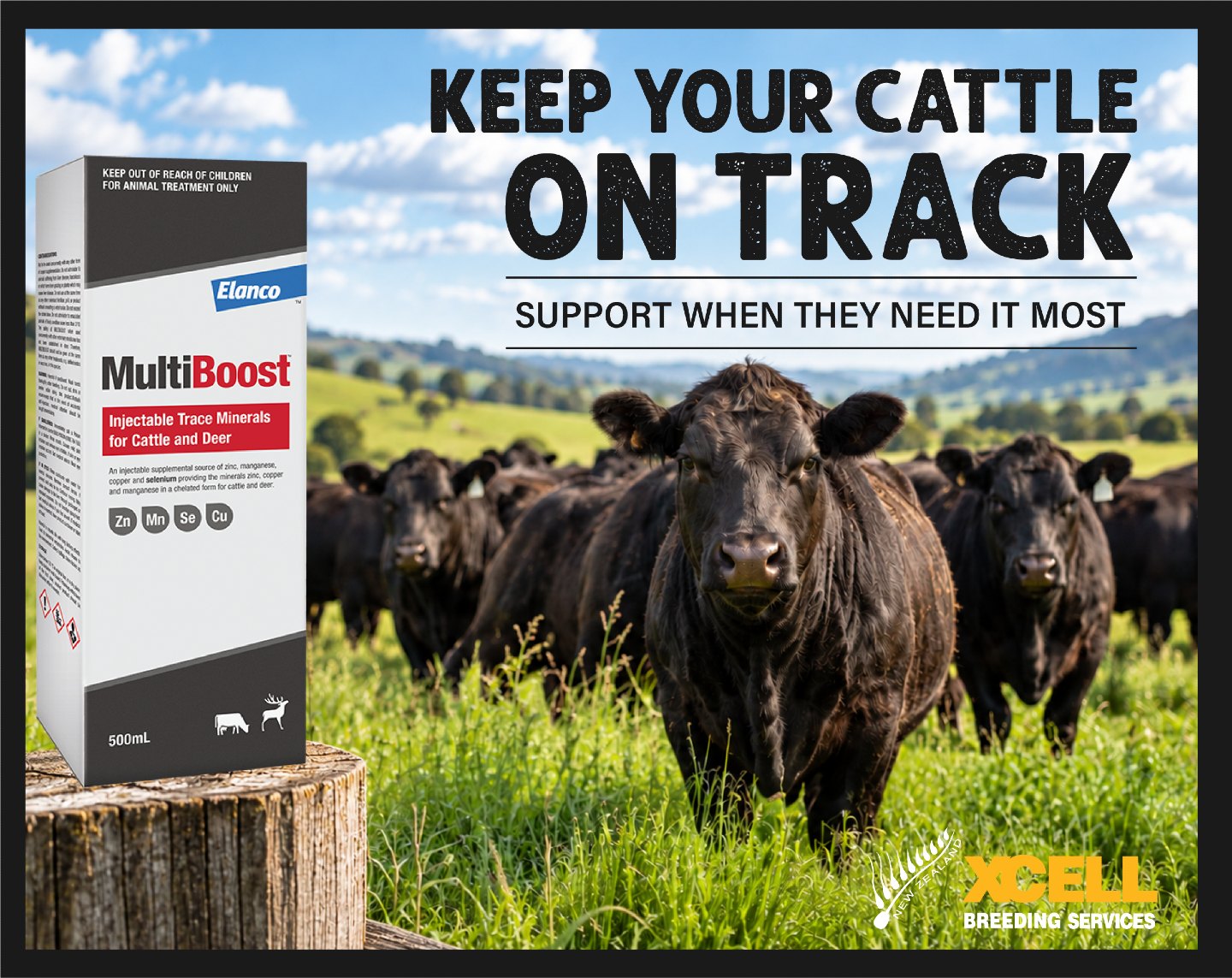 KEEP YOUR CATTLE ON TRACK
When cattle are under pressure, having the right nutritional support can make all the difference.
Multiboost delivers zinc, manganese, copper and selenium in one convenient injectable, making it a useful option ahead of periods when cattle are facing increased demand.
β Support cattle through challenging conditions
β Help maintain condition when demand is high
β Convenient injectable trace mineral support
Get organised now and have your Multiboost ready when you need it.
Contact the Xcell office to place your order.
π 021 453 387 | π§ info@xcell.co.nz