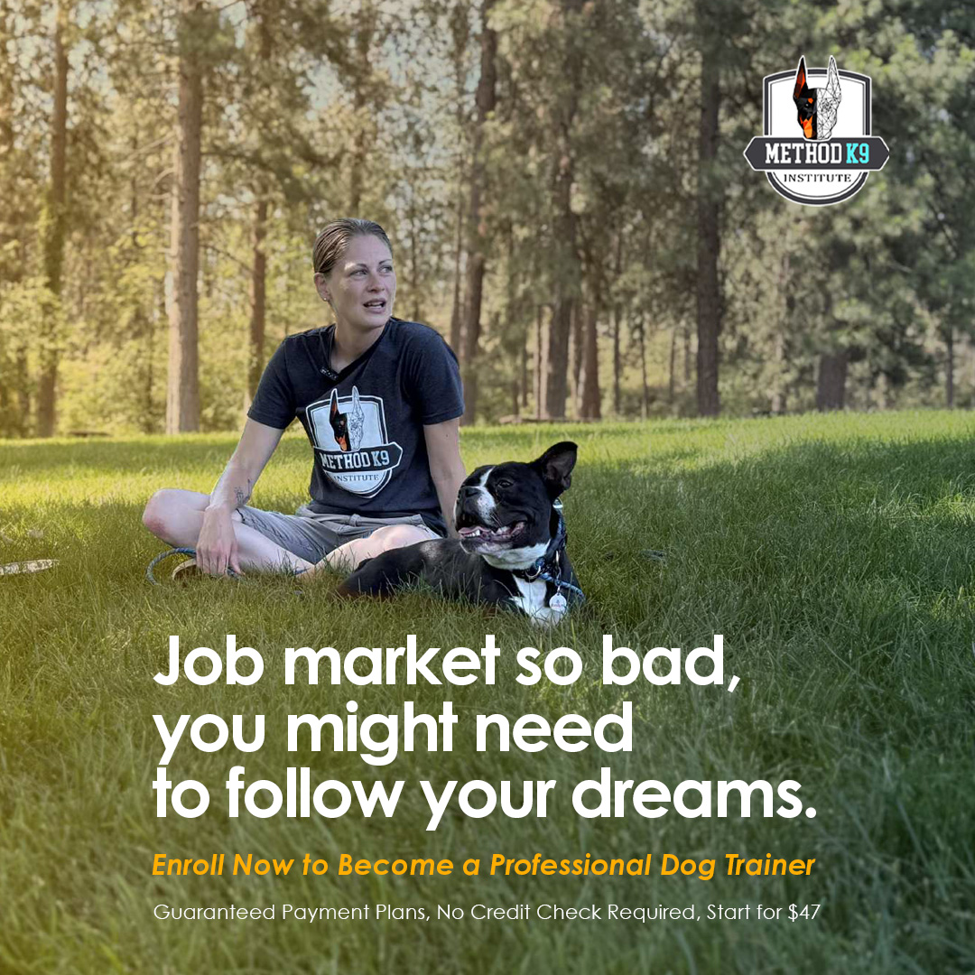 Job market so bad, you might need to follow your dreams. Maybe it's with Method K9 Institute ๐
We are open for enrollment! Start today for just $47 down with our tuition payment options. Available to all students, guaranteed, with no credit check. We have over 11,000 enrollments across 40+ countries and are one of the top academies for dog training in the world.
๐ Certified Master Dog Trainer
Build your foundation in canine behavior, communication, learning theory, training principles, scaling a successful business, and more.
โญ Online and In-Person learning
โญ Guaranteed Tuition Payment Options
โญ Monthly Training & Business coaching with Industry Professionals
โญ Complete each level in 6 months or less with our self-paced curriculum
โญ Become a Certified Professional in Dog Training
Comment CERTIFY and we will send you a link to our Certification Courses.
Not ready to enroll yet? Start with our FREE Workshop Course!
Get access to foundational training education and see what Method K9 is all about before taking the next step.
Comment WORKSHOP and we will send you a link to this course.
#MethodK9 #MethodK9Institute #DogTrainerCertification #DogTrainingCareer #ProfessionalDogTrainer #DogTrainingEducation #DogTrainer