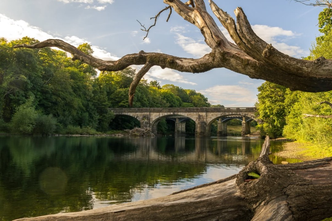 It's a great time of year to explore some of the beautiful outdoor spaces Lancashire has to offer. Where will you visit next?
📸 @lancashire_in_focus