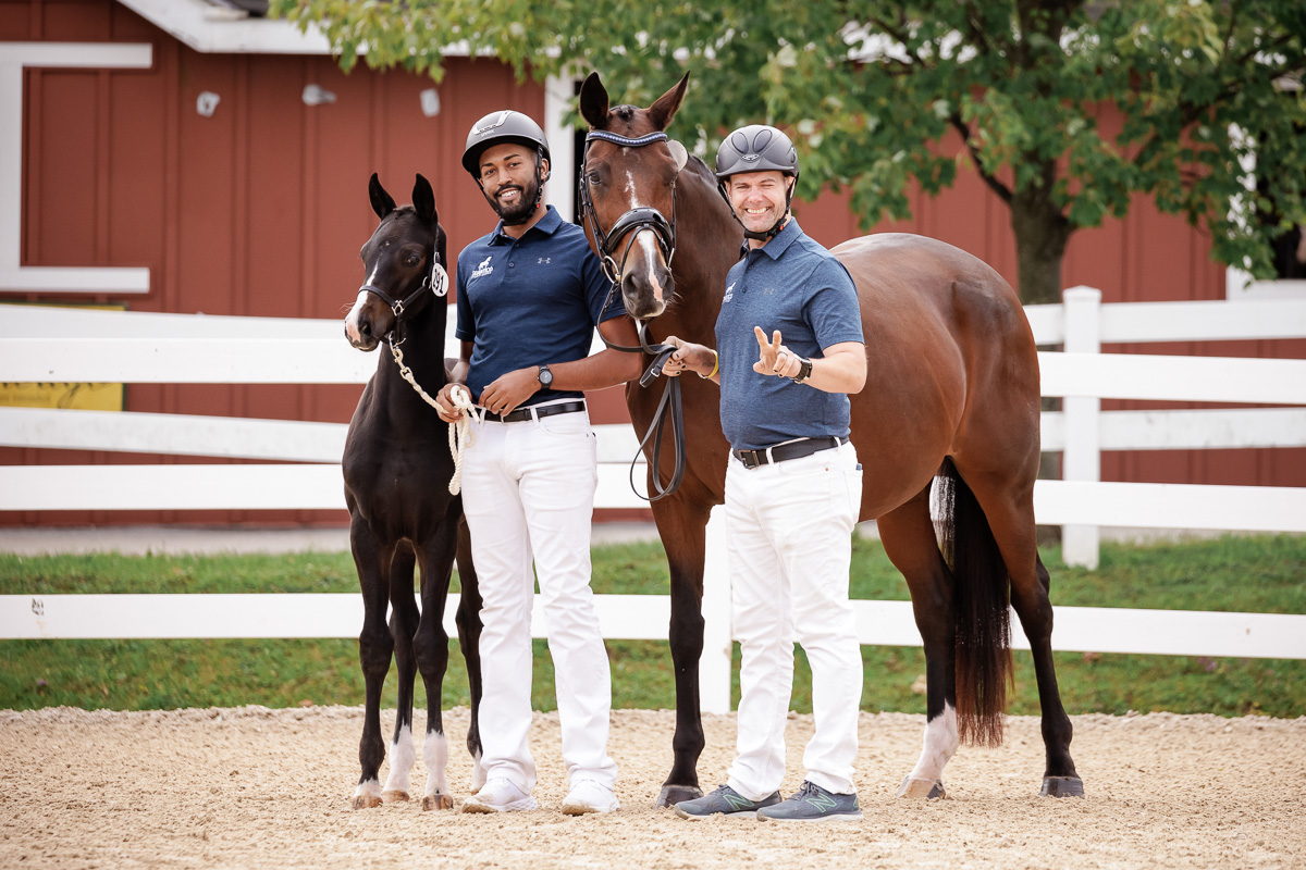 What are you bringing to @dressageatdevon next week? We will be there with bells on and a Current Year Colt. Looking forward to our favorite show of year!
๐ธ: @purplehorsedesigns
#quanticosporthorses #breedingforthefuture #breedingwithapurpose #dressageatdevon #usdfbreedshow