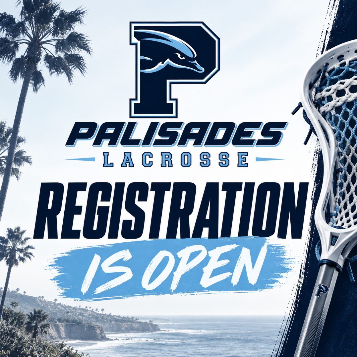 🚨🥍 FALL BALL REGISTRATION IS LIVE for both the boys and girls Palisades Lacrosse programs - registration in bio #palisadeslacrosse