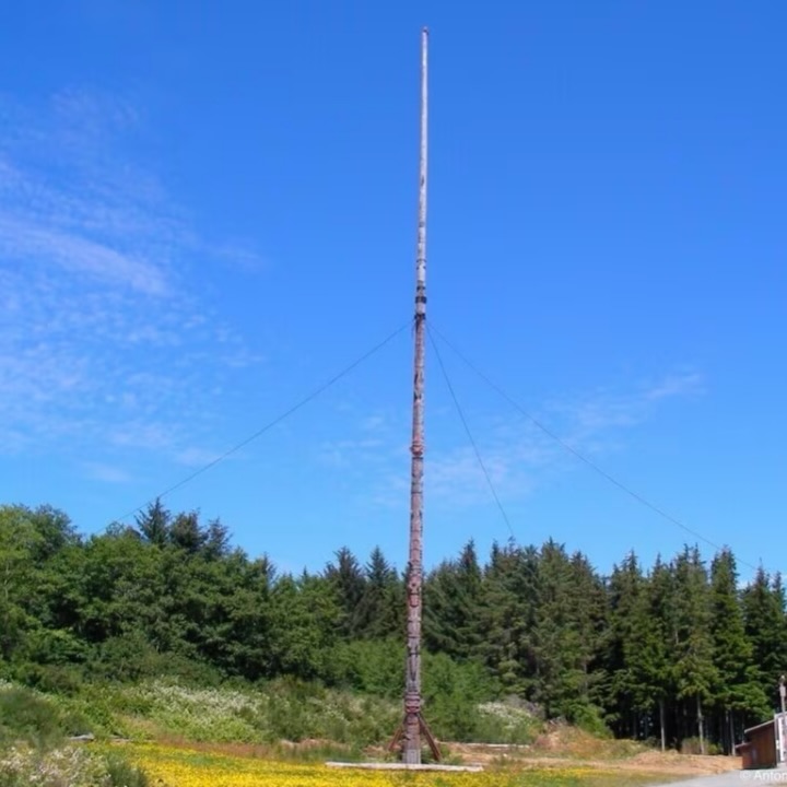 The World tallest totem pole (57.2m)
carved in 1960 and standing in Alert Bay, BC has been taken down today for safety concerns.
I was lucky to see it, but only from the ferry, for the village was closed for visitors during pandemic when we explored the island.
But it is a sad day nonetheless