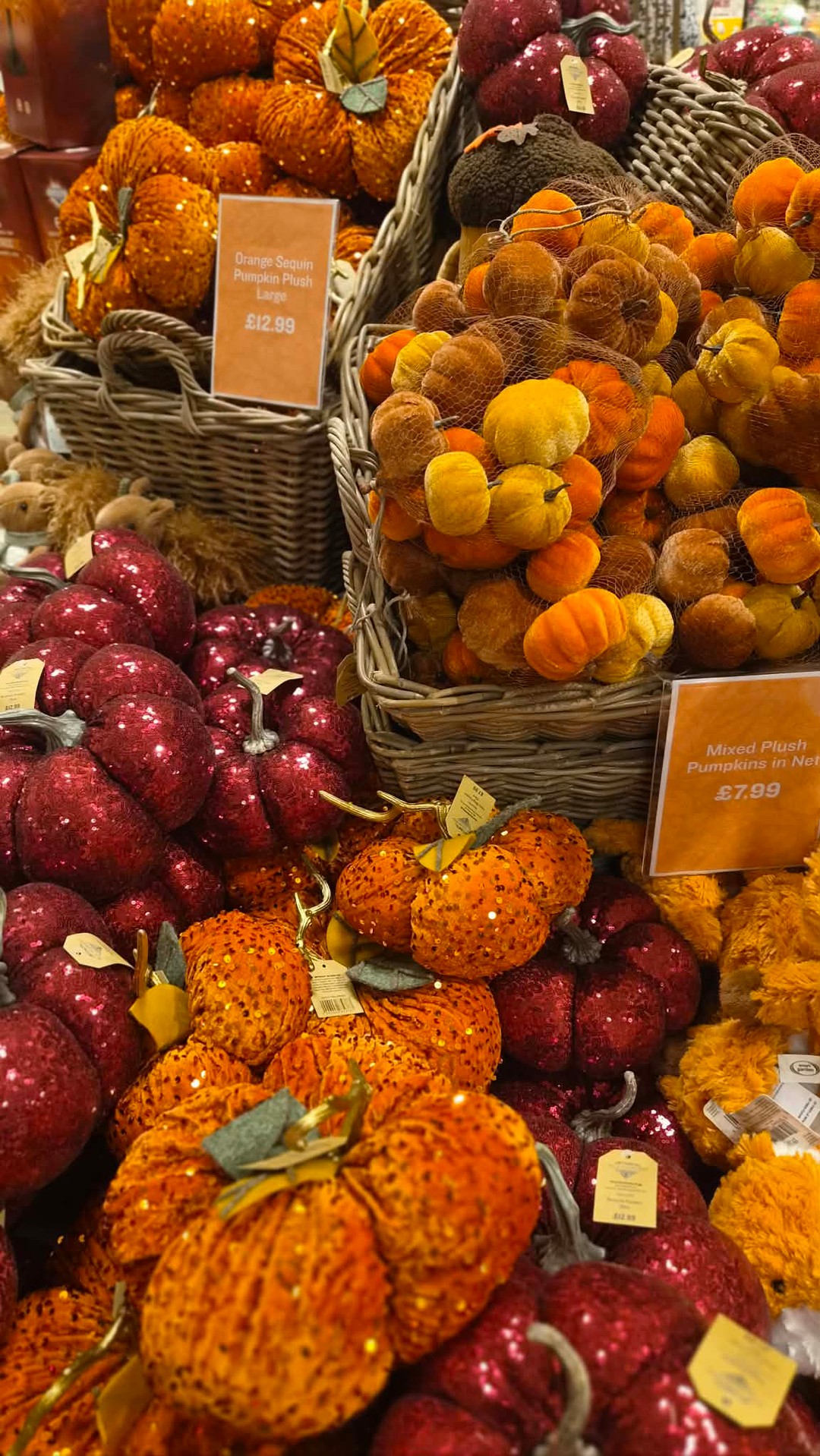 Autumn has arrived at @BartonGrangegc 🍂
If you are looking to add a cosy little touch of autumn to your home, check out the lovely new autumnal décor that is in store now.