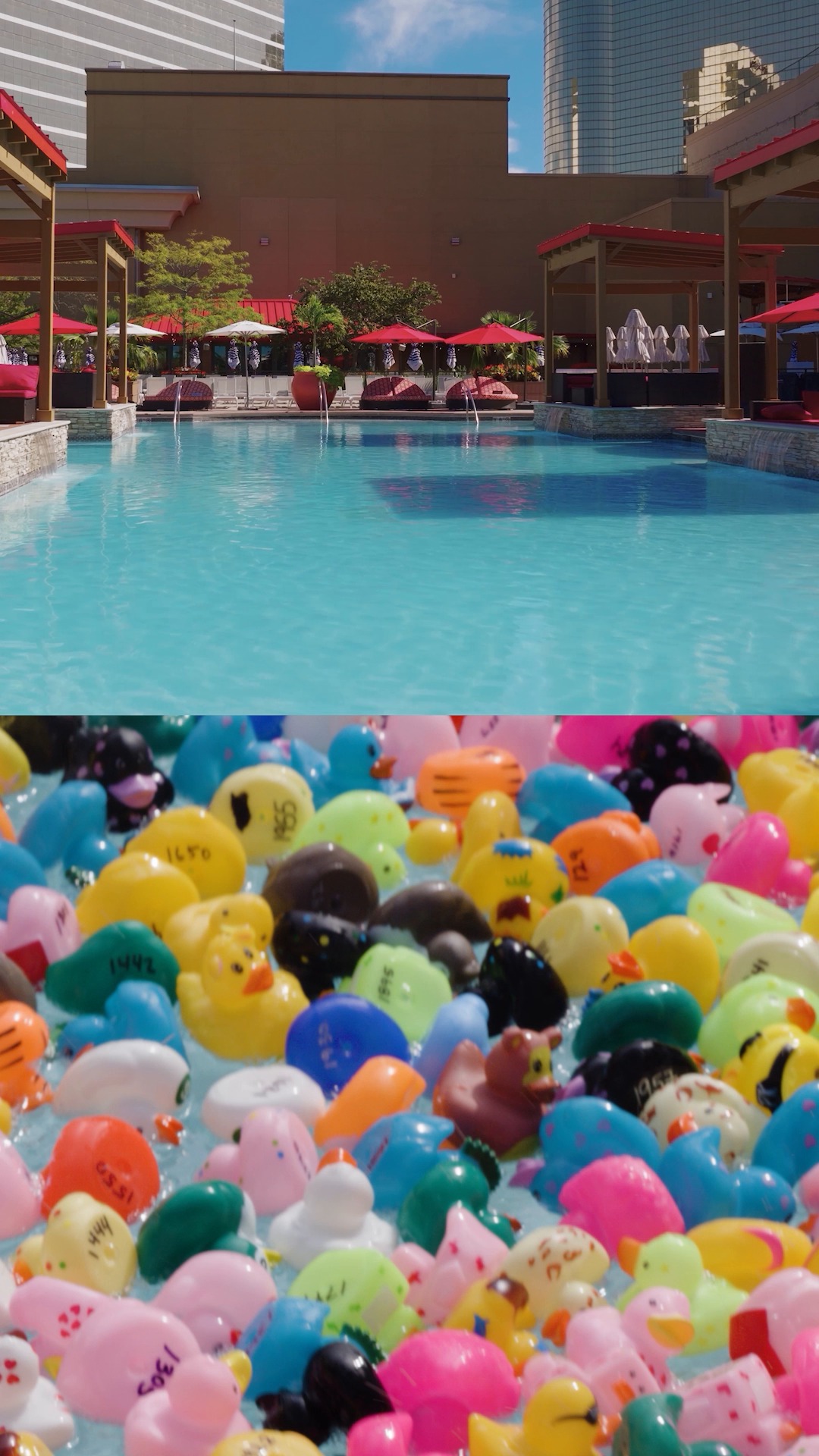 Nearly 2,000 ducks. One great cause. 🦆
Our Duck Race brought the Borgata team together for an afternoon of fun in support of the MGM Resorts Foundation and local nonprofits.