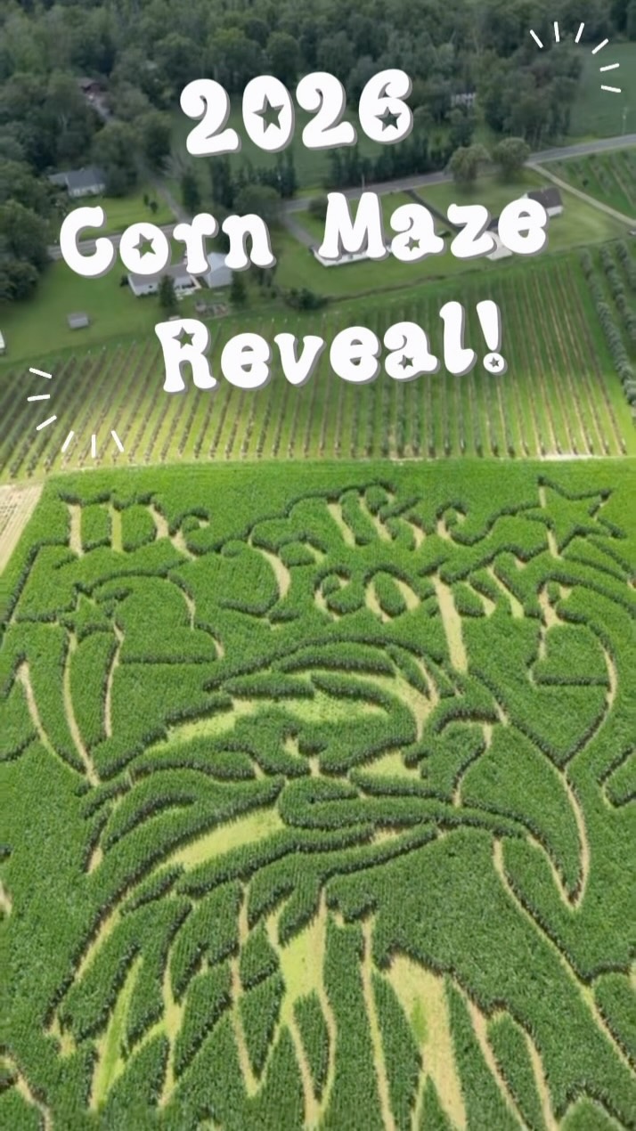 Our 2026 corn maze reveal 🎉 Our 2026 theme celebrates America’s 250th anniversary! A celebration of all the people, the history, and the farmers that make up America🌽🦅🇺🇸
I’ve heard rumor that this is our hardest maze yet…come get lost starting this Saturday 9/19 at 9:30 am!!!
🎃Pick-your-own pumpkins directly from the vine!
🍎Pick-your-own apples: LIMITED SUPPLY THIS YEAR!
💐Pick-your-own flowers: sunflowers, zinnias, celosia, and more.
🌽2026 Corn Maze🦅!
🌽Corn Pit!
🐥Red Valley Ranch Pony Rides & Petting Zoo (Saturday & Sundays only, cash only, separate from admission ticket)
🚜Hayride
🍔Food Tent (Saturday & Sunday only)
🍦Ice Cream Truck (Saturday & Sunday only)
🥦Fall Veggies + Brazilian speciality veggies at our tent
🍯Local Honey from @gardenstateapiaries
🍂Fall Flowers at our tent: Mums, Asters, African Marigolds, Montauk Daisies + cornstalks, Indian Corn, & straw bales for fall displays!
⏰Saturdays & Sundays, 9:30 am to 5:30 pm, with 5:30 pm being last entry!
💵We take cash & card!💳
Visit our website (link in bio) for more info!