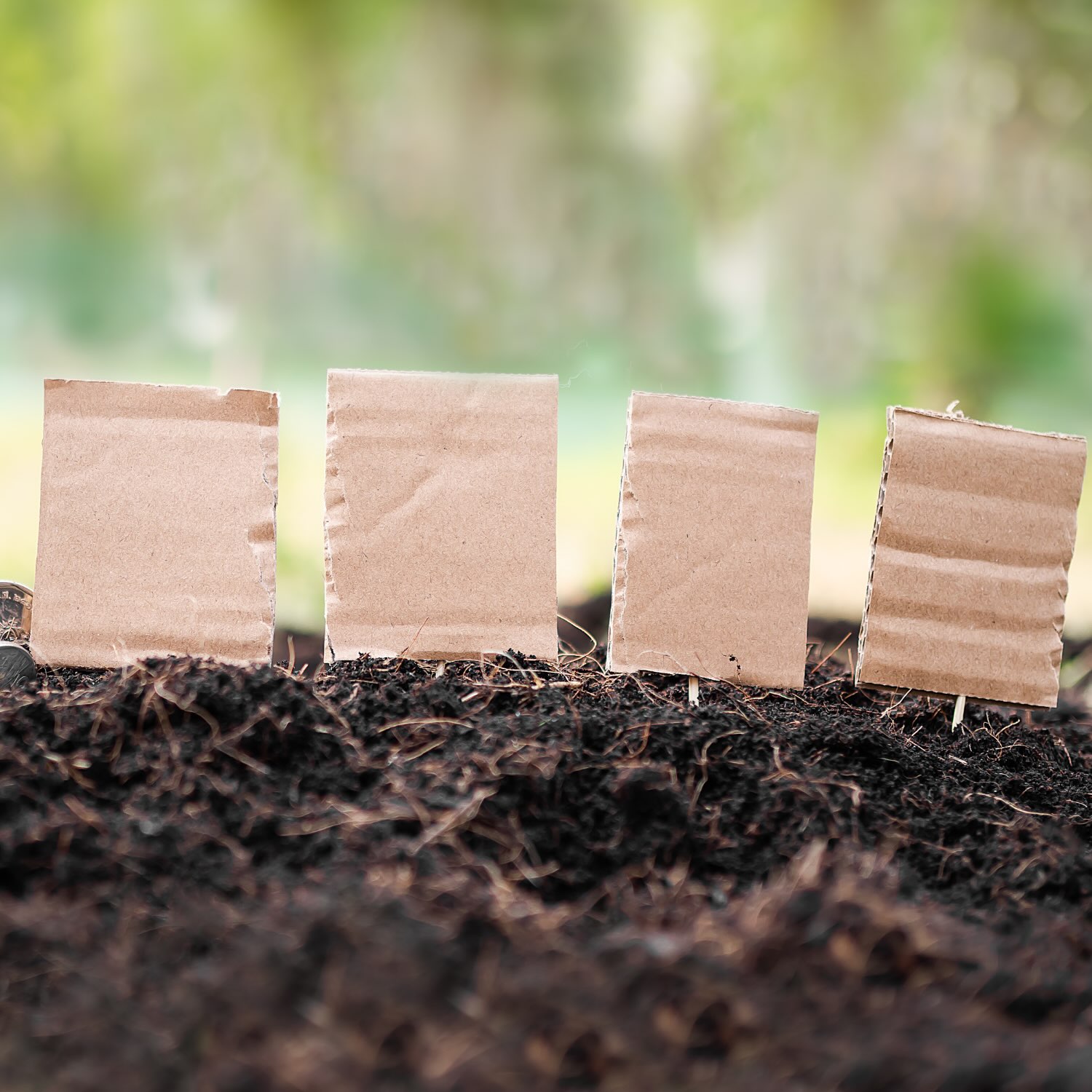 📦 Cardboard is everywhere, and in our gardens too.
We use it for weed suppression, mulch & more. But what’s actually in that cardboard, and could it be leaching chemicals into your soil? 🌱
Check before you use it with Safe Soil UK’s Cardboard Leaching Checker.
https://www.safesoil.co.uk/pro.../cardboard-leaching-checker
#SafeSoilUK #cardboard #soiltesting