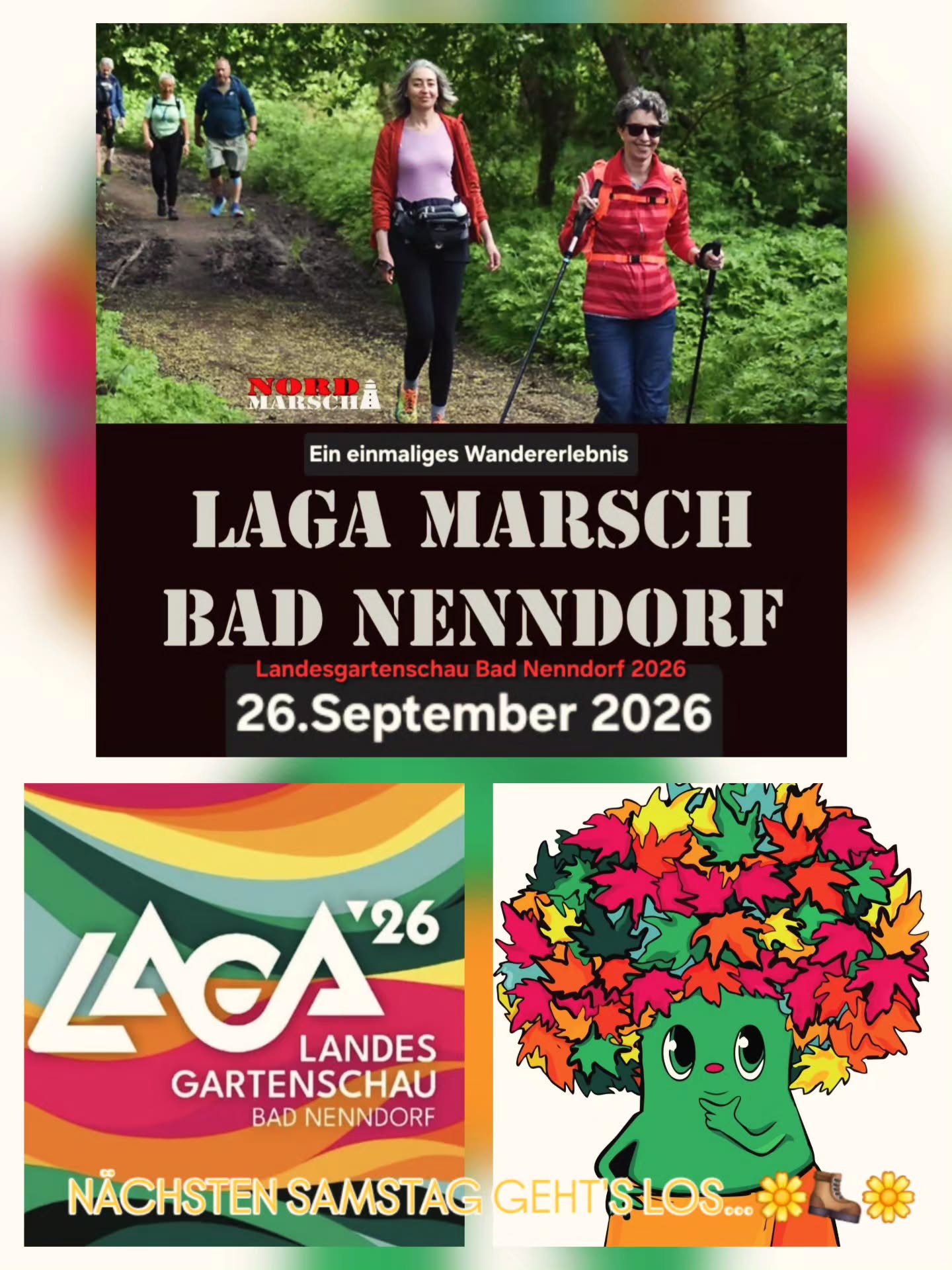 Heute in einer Woche am 26. September 2026 wandern wir @nordmarsch auf den 15km, 30km & 42km Strecken
in und um Bad Nenndorf gemeinsam mit Euch.
Nicht nur eine Premiere 2026, sondern auch (leider) ein einmaliges Event, da der Start- & Zielbereich auf dem Gelände der Landesgartenschau Bad Nenndorf @laga_badnenndorf liegt und die endet in diesem Jahr.
Wir 25 vom Team Nord-Marsch & die Family&Friends und natürlich auch die LaGa-Crew freuen sich schon sehr auf Samstag.
Wir stecken voll in den Vorbereitungen!
Planung von allem läuft bis zur Abfahrt am Freitagmittag, soll ja auch in Bad Nenndorf ein tolles Erlebnis mit Sport, Spaß, guter Streckenführung und leckerer Verpflegung werden.
Die Eventübersicht müsste bei allen Teilnehmer*innen seit gestern im Posteingang Eurer angegebenen Mailadresse sein, schön durchlesen, auch wenn Ihr schon öfters bei uns am Start wart.
Nutzt gerne, wenn Ihr bereits Freitag vor Ort seid, von 19:30 - 20:30 Uhr den Vorabend-Check-In, dann braucht Ihr Euch am Starttag darum nicht mehr zu kümmern und könnt' schonmal am Abend vorher die Örtlichkeiten checken und andere Wanderbegeisterte treffen.
(Hinweis: Am Haupteingang P2 vom LaGa-Gelände!)
Wir freuen uns auf dieses blumige 🌸 Event, sicher mit einigen bunten Blumenketten die das Wanderoutfit pimpen, vielleicht auch mit lässigen Sonnenhut ☀️ -
das würde uns nach unserem letzten Event in der Probstei 🌧 sehr freuen! 🙂
Wir sehen uns in einer Woche...
Eure Nord-Marscher mit den Family&Friends ❤️
www.nord-marsch.de
➡️ Die Anmeldung hat geschlossen, wir sind mit über 800 Wander- & Blumenfans komplett. Bei Rückfragen gerne an Steffi vom Support unter support@nord-marsch.de wenden oder vielleicht habt Ihr ja noch Glück 🍀 in der Tickettauschbörse auf Facebook. ⬅️
