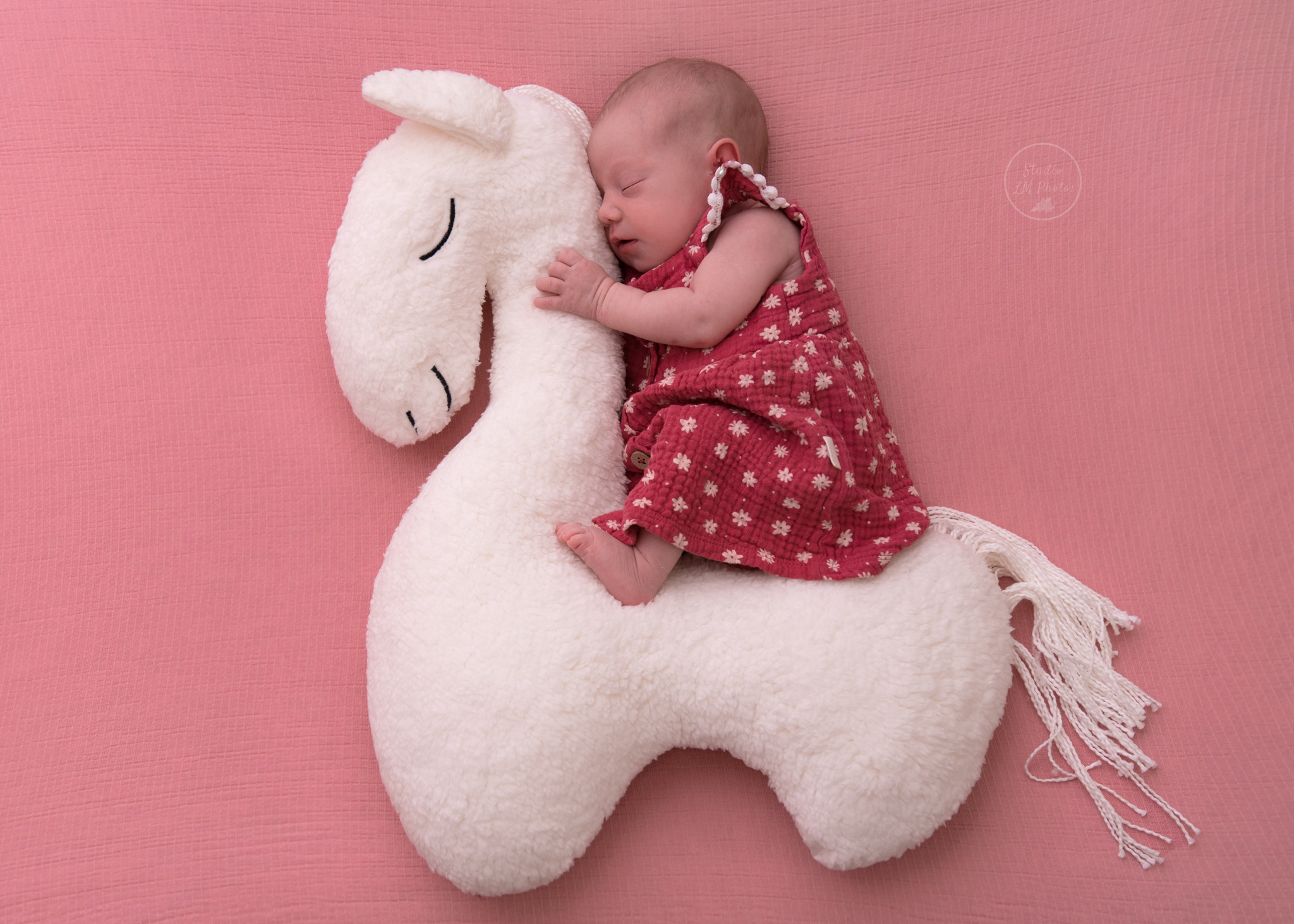 Toute mimi la petite cocotte ❤️
#nouveaune #seancenouveaune