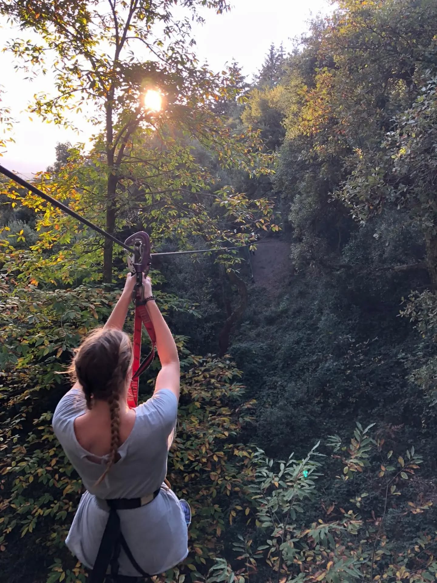 Fer tirolines sempre és un bon pla per al cap de setmana! ☀️
Adrenalina, natura i molta diversió entre els arbres. 🌲
T’hi esperem!
#LaSelvaDeLAventura #Tirolines #Aventura #Natura #CapDeSetmana