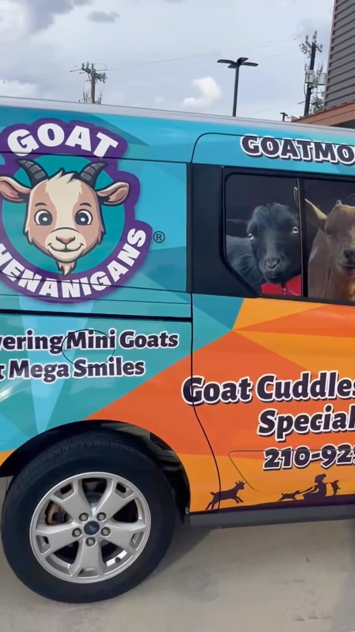 We got a new ride. If you see the GOATMOBILE around town, show us some love and tag us in a pic! The goats LOVE the extra attention.