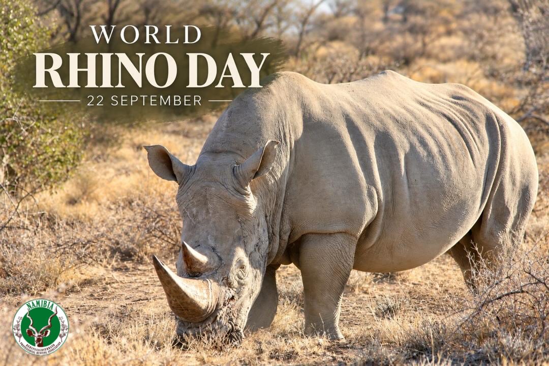 WORLD RHINO DAY
Today, we celebrate one of Africa’s most iconic species and the importance of protecting them for generations to come.
Did you know? Rhinos have relatively poor eyesight, but they make up for it with an excellent sense of smell and hearing, helping them navigate their surroundings and detect what’s happening around them.
World Rhino Day is a reminder of the responsibility we share in safeguarding these remarkable animals and their habitat.
Our wildlife. Our heritage. Our responsibility.
📸 Photo credit: Elleni Strauss
#WorldRhinoDay #NAPHA #Namibia #RhinoConservation #WildlifeConservation