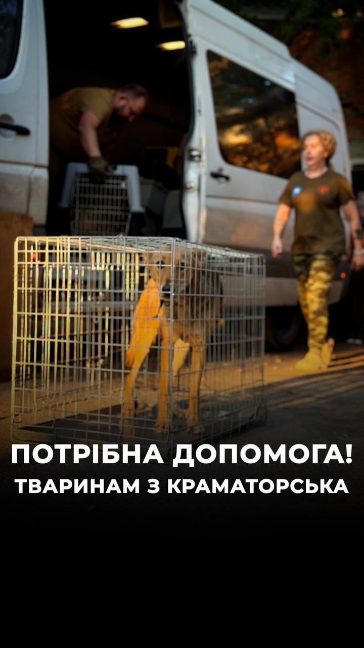 Евакуація з Краматорська продовжується, потрібна допомога (⬇️ENG)
Зараз ми посилили нашу роботу трьома командами, які евакуюють тварин щодня. До нас приїжджають як собаки, так і коти.
Кожному з них потрібна допомога.
На сьогоднішній день найбільш необхідна допомога для нас - це знаходження нових сімей та тимчасових перетримок для врятованих тварин з Краматорська.
Вони приїжджають в стресовому стані, вони мали сім’ю, мали дім, а зараз вони залишились без нього.
Якщо ви можете усиновити тварину, взяти тимчасову перетримку, надати будь-яку допомогу, будь ласка, заповніть форму в шапці профілю або в описі даного поста - і ми з вами зв’яжемось.
❗️Також, дуже потрібні клітки, бокси для розміщення та транспортування тварин.
Всиновити собаку/запропонувати допомогу:
+380951021335 (WhatsApp / Viber / Telegram)
Або за формою в біо чи в коментарях☝️
Evacuations from Kramatorsk continue, and we need your help (⬇️ ENG)
We have now strengthened our work with three teams evacuating animals every day. Both dogs and cats are arriving at ARK.
Every one of them needs help.
Right now, our greatest need is to find new families and temporary foster homes for the rescued animals from Kramatorsk.
They arrive stressed and confused. They had a family and a home, and now they are left without one.
If you can adopt an animal, provide a temporary foster home, or offer any other kind of help, please fill out the form in our bio or in the description of this post — and we will get in touch with you.
❗️We also ur