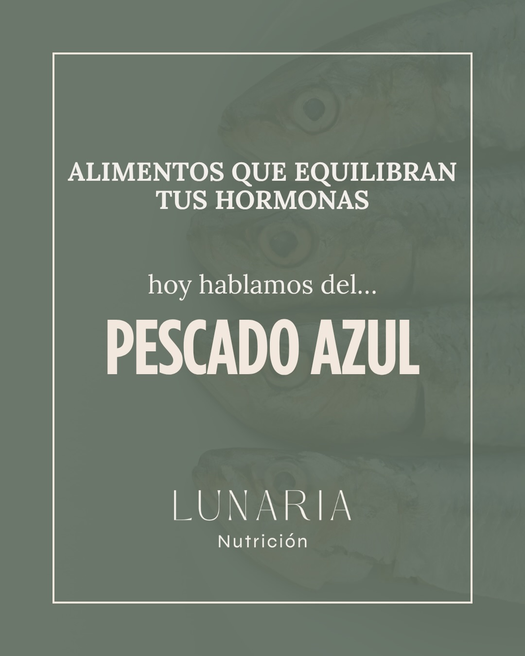 Continuamos con la serie "Alimentos que equilibran tus hormonas"
Hasta ahora hemos hablado de diferentes formas en las que la alimentación puede acompañar nuestra salud hormonal.
Hoy hablamos del pescado azul 🐟🐟 una de las principales fuentes de omega3, EPA y DHA, ácidos grasos que participan en la salud cardiovascular y en la regulación de los procesos inflamatorios.
Y esto puede ser especialmente interesante en diferentes momentos de la vida de la mujer.
Durante el ciclo menstrual, algunos estudios han observado que los omega3 pueden ayudar a reducir el dolor menstrual y determinados síntomas asociados a la inflamación.
En patologías como la endometriosis, donde existe un componente inflamatorio, también se está estudiando su posible papel como parte de un patrón de alimentación saludable, aunque la evidencia todavía no permite considerarlos un tratamiento.
Y durante la perimenopausia y la menopausia, cuidar la salud cardiovascular y metabólica adquiere especial importancia. Incorporar pescado azul de forma habitual puede ser una sencilla manera de aumentar el aporte de omega3, además de proteínas, vitamina B12, vitamina D y minerales.
Cuidar tu salud hormonal también empieza por incorporar con más frecuencia alimentos sencillos y nutritivos a tu alimentación habitual 🩵