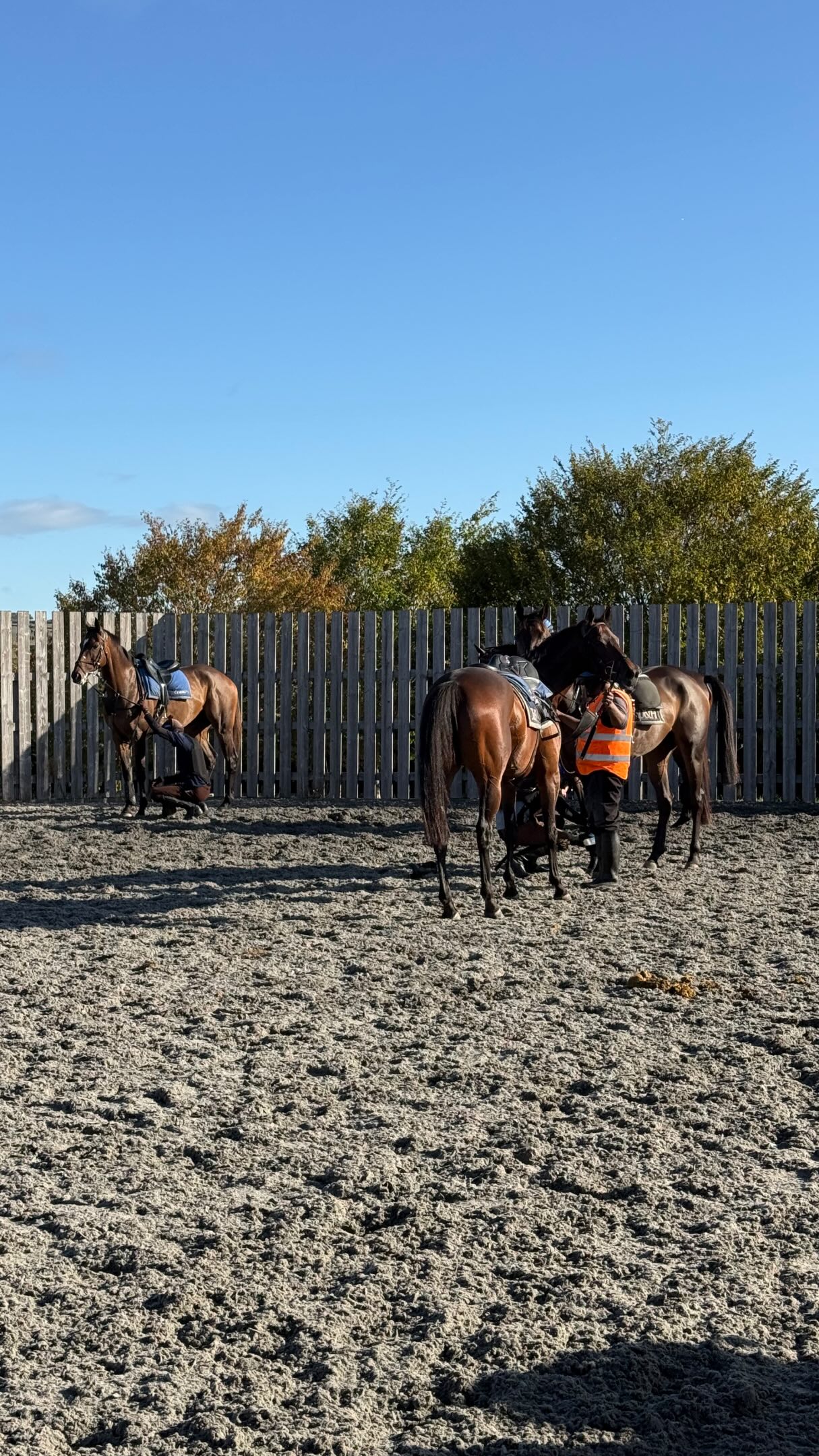 Great to have some of the jockeys in the last few weeks, doing some faster work and schooling over the hurdles and fences. 🏇