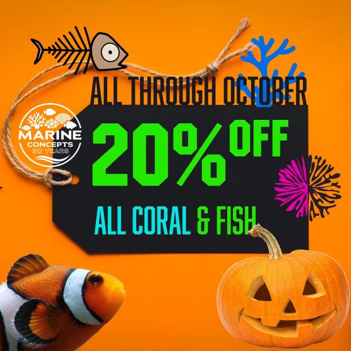 20% Off Fish & Coral through October!!!
165 Wheeling Rd. Wheeling IL 60090
#allmymoneygoestocoral #halloween #aquariumsupplies #sale #aquariumdeals