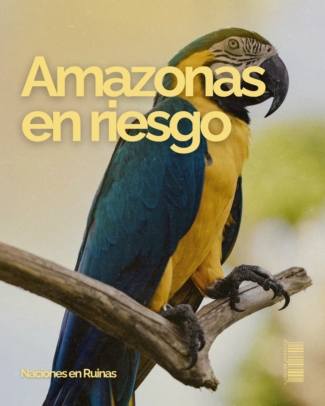 🌎| Proteger el Amazonas es esencial para preservar la biodiversidad, combatir el cambio climático, garantizar recursos hídricos, proteger comunidades indígenas y mantener un ecosistema fundamental para el equilibrio ambiental global.
✍🏻| Escrito por Marta Herrera Macías, estudiante del Grado en Relaciones Internacionales por la Universidad Rey Juan Carlos de Madrid.
#amazonas #selva #rrii #medioambiente #pueblosindígenas