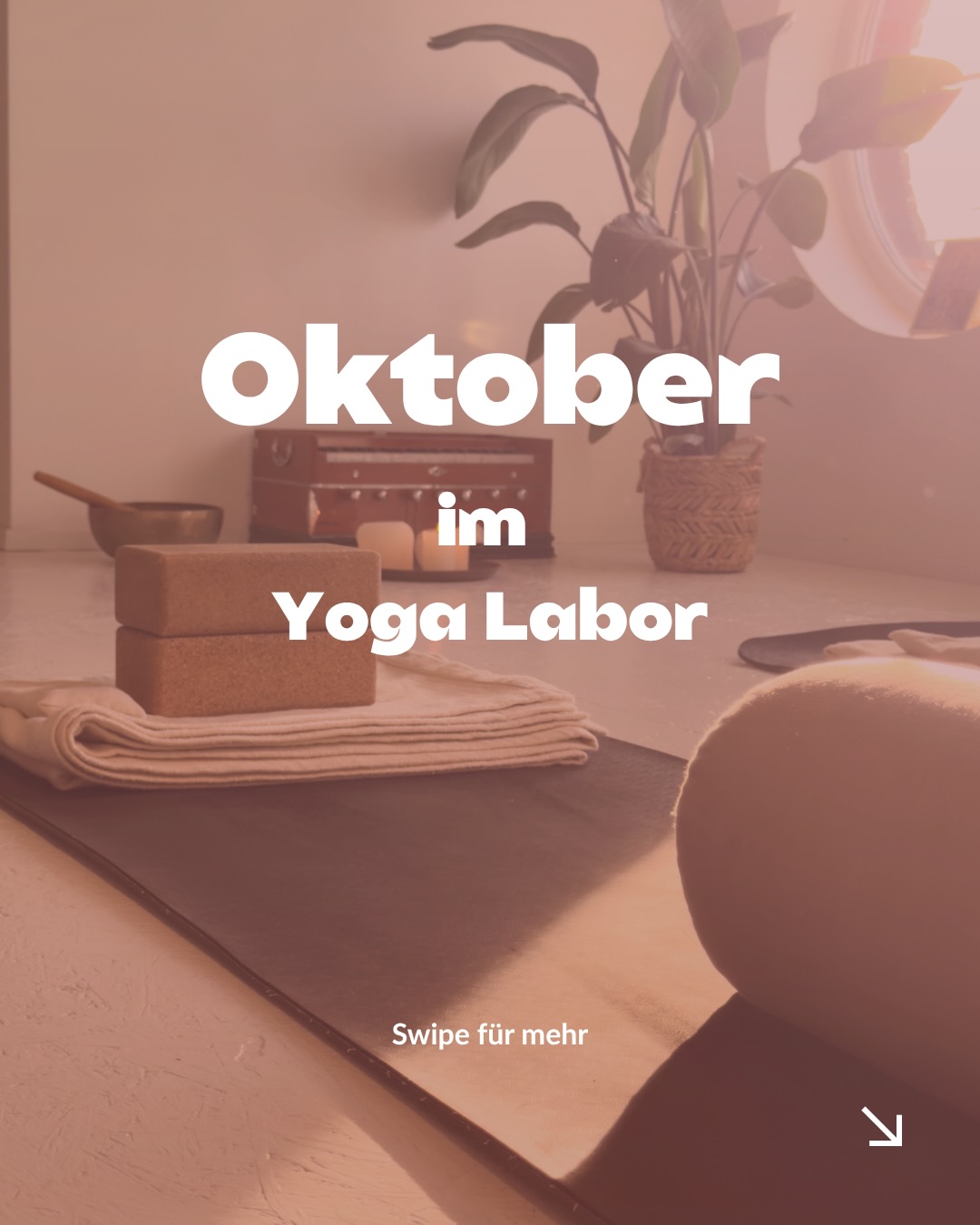 OKTOBER IM YOGA LABOR 🍁🍁
Der Herbst ist da und bei uns wird es im Oktober richtig vielseitig. Von Retreat und Community Specials über neue Kurse bis hin zu unseren Ausbildungen und Weiterbildungen ist einiges geplant.
🌿 Herbst Retreat
👉 Starte den Oktober mit einem Wochenende raus aus dem Alltag, rein in Bewegung, Natur und Gemeinschaft.
✨ COMMUNITY SPECIALS
🧘 TCM meets Hatha Yoga mit Petra
🔔 Klangbad mit Monika
💃 NEU: Latin Flow mit Christin
👉 Spüre den Rhythmus und lass dich von der Musik bewegen.
📚 AUSBILDUNG & WEITERBILDUNG
200h Hybrid-Ausbildung
200h Intensiv-Ausbildung
+300h Weiterbildung Kinderyoga
Speicher dir den Post und schau, worauf du im Oktober Lust hast.
👉 Jetzt anmelden – alle Infos findest du auf unserer Website.