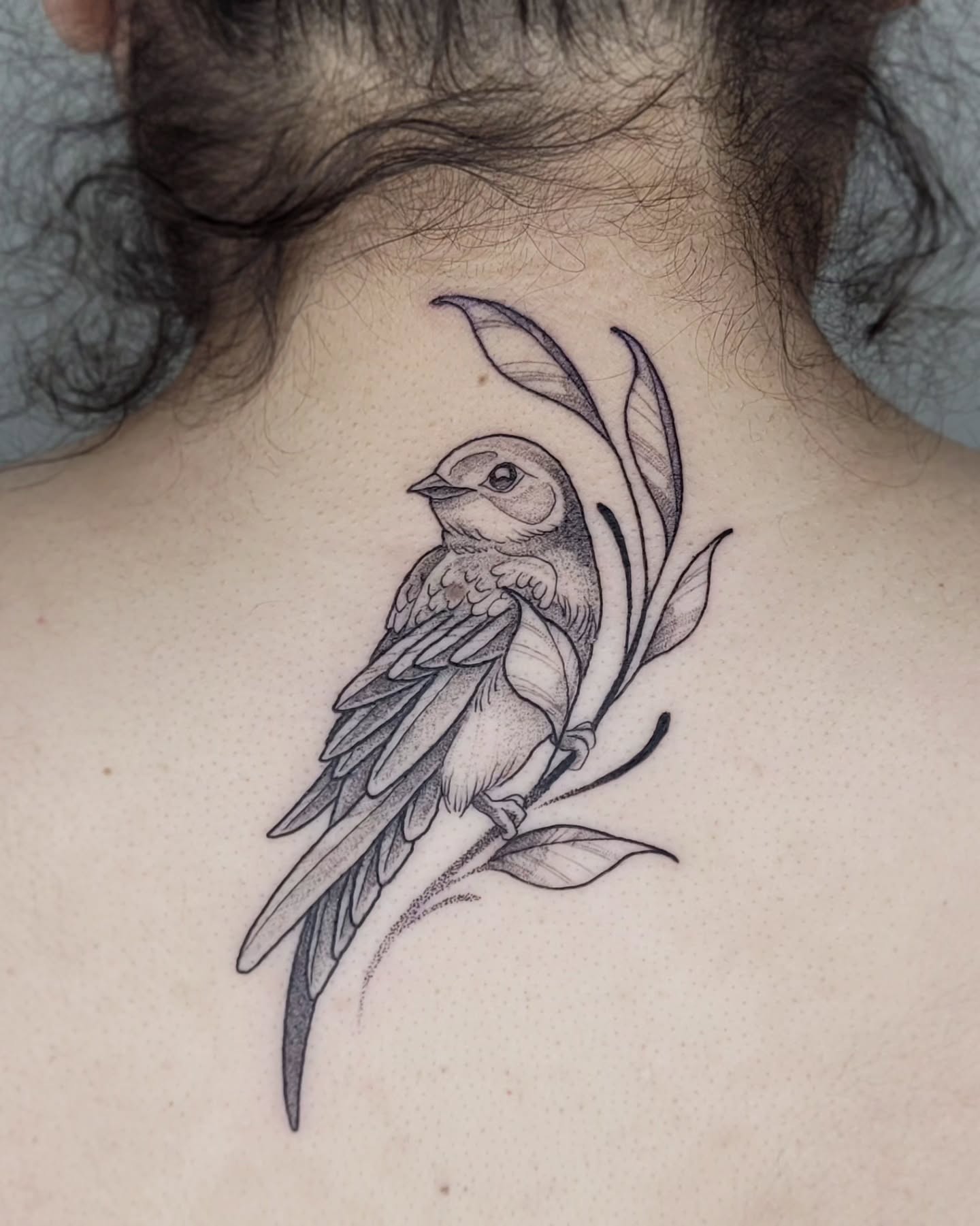 This birb is from my flash!! What a cool and unexpected placement for this one. That's all I have to say. Thank you!
#birdtattoo #tattoo #abbotsford #comoxvalley