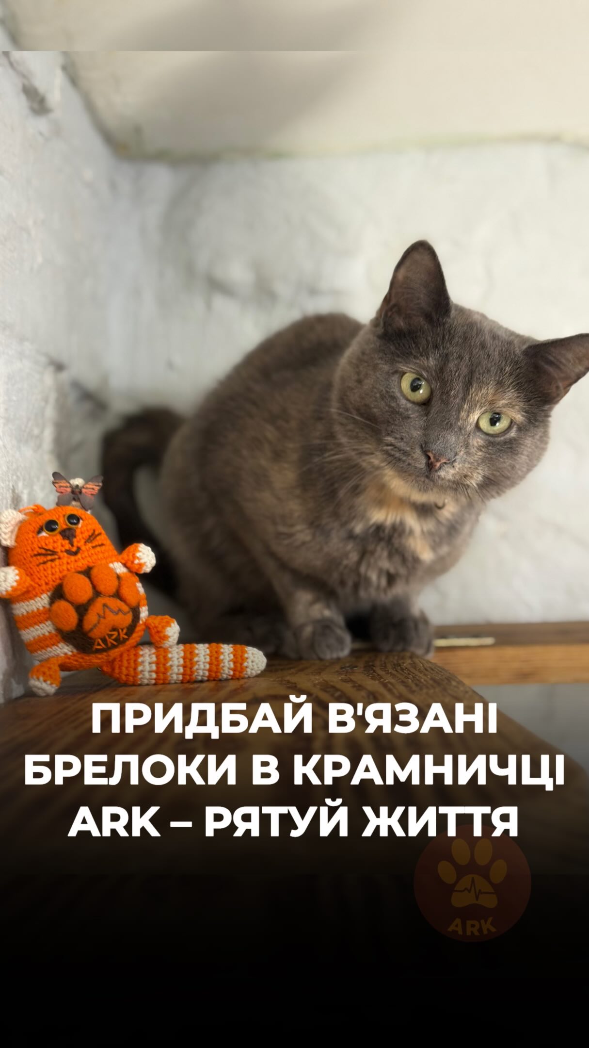 Котики з зони бойових дій напередодні Дня Захисту тварин запрошують вас долучитися до порятунку тварин із Краматорська! (⬇️ENG)
Придбавши вʼязаних котиків ARK у нашій @kramnychka_ark .
Кожен придбаний брелок – це ще один кіт, собака, цуценя, вивезені з цього пекла та допомога в його подальшому лікуванні та реабілітації.
До речі, вʼязані котики мають новий вигляд. Тепер кожен котик має такий великий хвостик
Брелоки можна почепити на сумку / рюкзак.
В наявності котики різних кольорів.
Є ще одна можливість допомогти - всиновити котика в родину, адже про це вони мріють найбільше!
🇺🇦🌍Доставка можлива по Україні та за кордон.
Контакти для замовлень:
+380668414069
+380677051570
(WhatsApp / Viber / Telegram)
Для всиновлення звʼяжіться за номером:
+380751869819 (WhatsApp / Viber / Telegram)
Зробити донат можна за посиланням у біо чи в коментарях 👉
Cats from the war zone are inviting you to join the effort to save animals from Kramatorsk ahead of Animal Protection Day!
By purchasing ARK knitted cats from our @kramnychka_ark, you can help save animals from the war zone.
Every keychain purchased helps rescue another cat, dog, or puppy from this hell, as well as support their further treatment and rehabilitation.
By the way, our knitted cats have a new look! Now each cat comes with a big fluffy tail 🐈
You can attach the keychains to your bag or backpack.
Cats are available in different colors.
There is another way you can help — adopt a cat into your family. After everything they have been through, this is what they dream of most! ❤️🩹
🇺🇦🌍 Del
