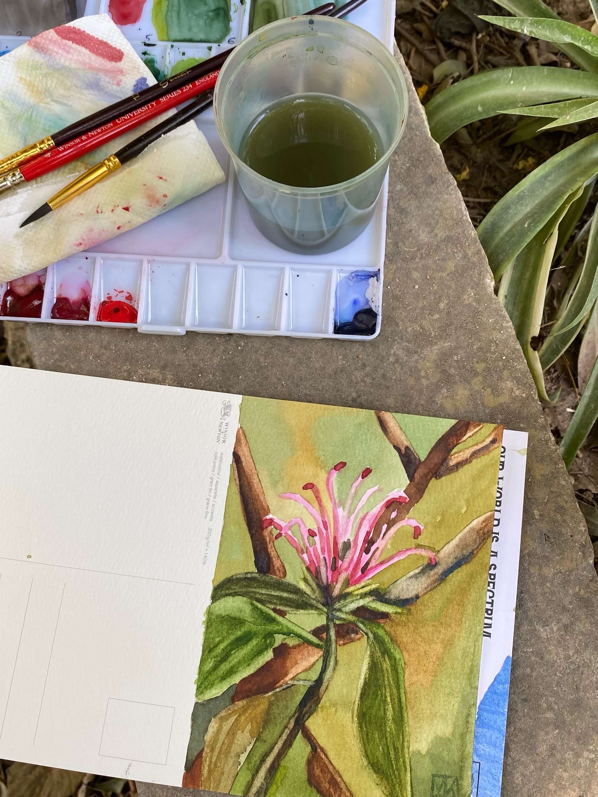 So excited to have been notified by @winsorandnewton that my Art Mail postcard has been selected for display at the @saatchi_gallery in London as part of the Winsor & Newton Art Mail exhibition!
My little Jacobinia was painted from observation in the National Garden of Athens. It is such an honour to see it become part of this wonderful project, alongside postcards created by artists from all over the world.
Congratulations to everyone who took part!
And a big thank you to @artandhobbygreece for introducing me and my students to the Art Mail project, providing us with the postcard pads and materials, and encouraging us to participate. ❤️
.
.
.
#winsorandnewton #winsorandnewtonwatercolors #watercolorpostcard #saatchi_gallery #artandhobbygreece