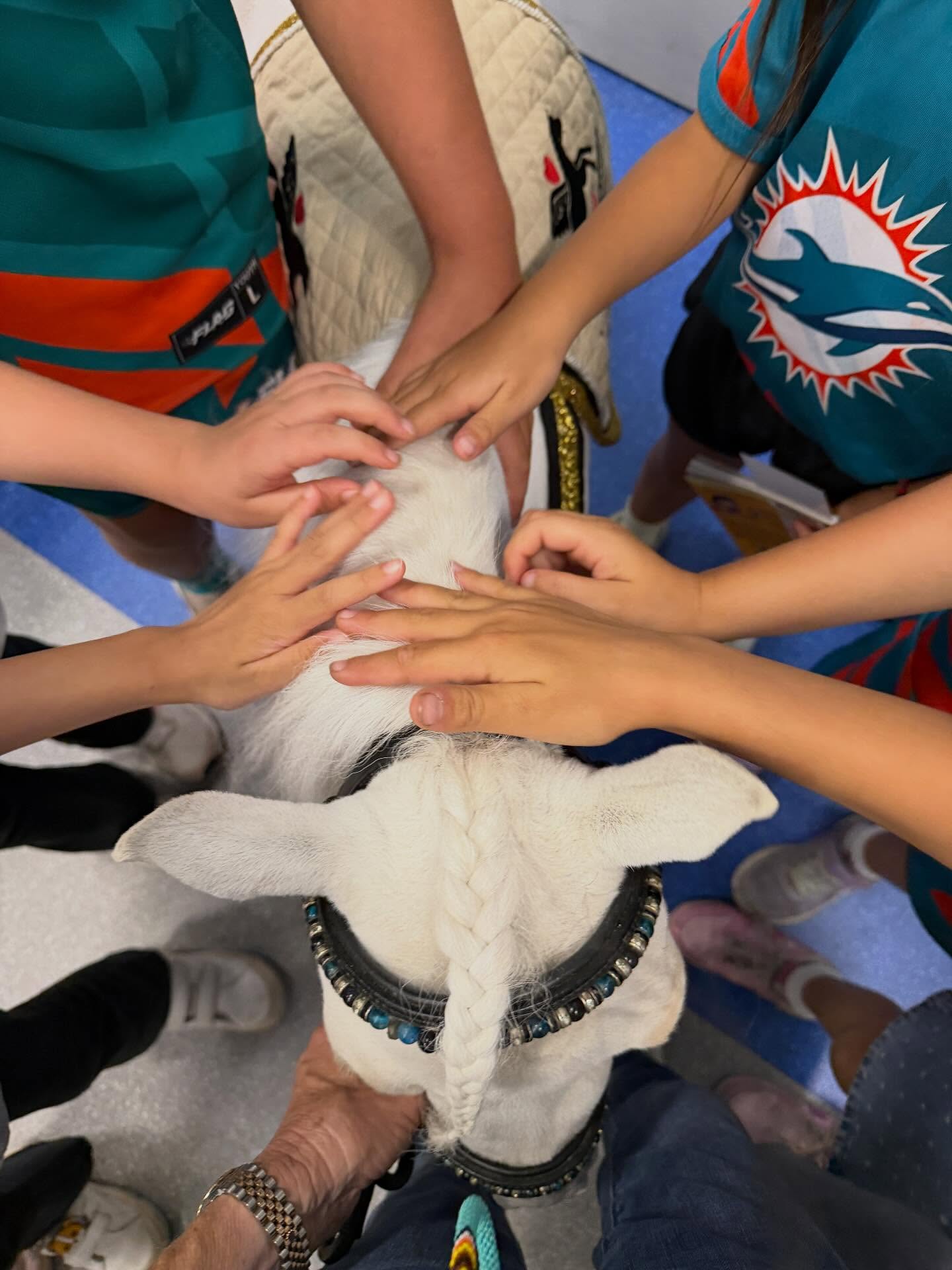 Sharing love one horse heart at a time at La CaΓ±ada Elementary School. #elementaryschool #kids #children #school #equine #equinetherapy #animal #unicorn @platinumperformance @equusfoundation #teacher #inspire #educate #compassion #kindness