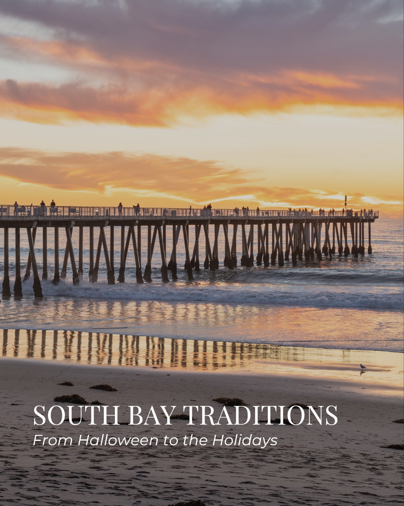 stevenmullinsrealestate