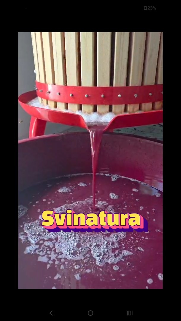 Finalmente, il premio alla fine delle fermentazioni.
#svinatura #cesanese #trebbianoverde #vininuovi #vendemmia2026
