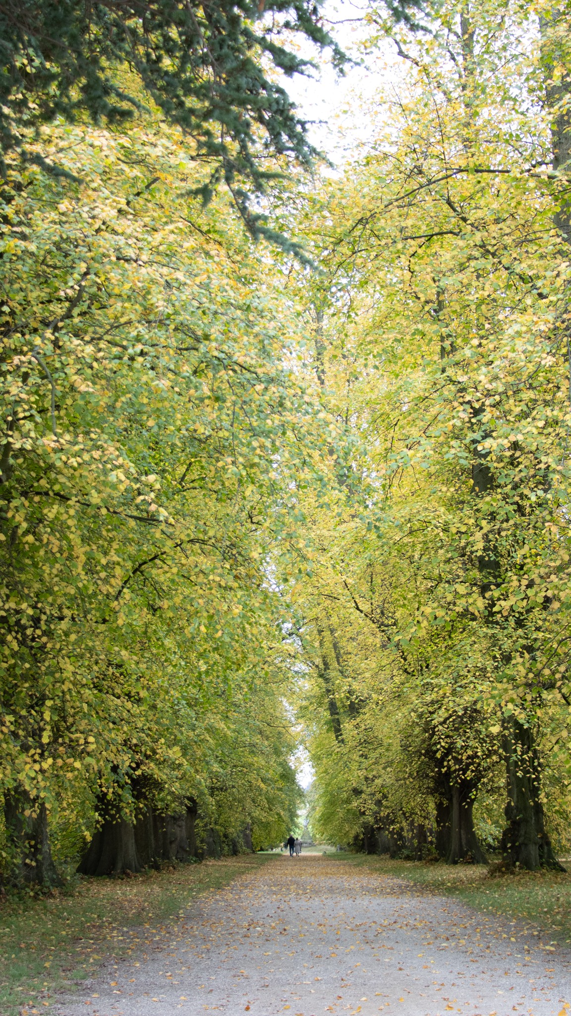 Our Autumn Bucket List 🍂 How many have you already ticked off? ✅
The clocks go back this weekend, which means an extra hour to explore North Yorkshire ⏰👇
🎃 Pumpkin picking
🧛🏻♂️ Whitby Illuminations
🥾Walk a section of The Coast to Coast path
🌅Watch the sunrise at Scarborough
🍂 Head out for a hike at Sutton Bank
🚂 Ride the @northyorkshiremoorsrailway
🐿️ See red squirrels at @ch_arboretumtrust
🤩 Discover Dark Skies Festival
🛁 Spa day at @turkishbathsharrogate
🍁 See autumn colours at @thorp.perrow.arboretum
☕️ A cosy café date in Ripon
🏰 Visit an ancient ruin
🍺 Sunday lunch at @thetanhillinn_
😍 Waterfall walks in the @yorkshiredales
🧗🏼♀️Abseiling at @howsteangorge
#AutumnBucketList #VisitNorthYorkshire